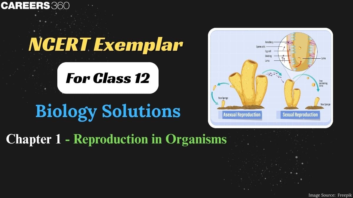 NCERT Exemplar Class 12 Biology Solutions Chapter 1 Reproduction in Organisms